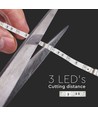 Ruban LED RGB 5m 4,8W/m - 12V DC, IP20, 30 LED par mètre