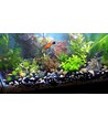 LEDlife aquarium T8-Pro150 - tube LED 25W, 10000K, 150 cm
