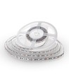 Ruban LED 5m 10,8W/m RGB+WW - 60 LED par mètre