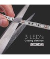 Ruban LED 5m 10,8W/m RGB+WW - 60 LED par mètre