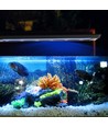 Lampe d'aquarium 19,5 cm - 7W LED, blanc/bleu