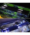 Luminaire pour aquarium 88-110 cm - LED 25W, blanc/bleu, réglable