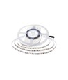 Ruban LED 5m 11W/m - 24V DC, IP20, 150lm/W, 168 LED par mètre