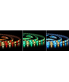 Ruban LED 5 mètres 12W/m RGB+WW - 24V DC, IP20, 60 LED par mètre