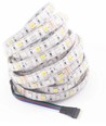 Ruban LED 5m 12W/m RGB+WW - 12V, IP65, 60 LED par mètre