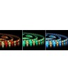 Ruban LED 5m 12W/m RGB+WW - 12V, IP65, 60 LED par mètre