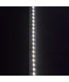 Ruban LED à éclairage latéral 5m 11W/m - 24V DC, IP20, 120 LED par mètre