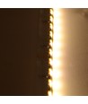 Ruban LED à éclairage latéral 5m 11W/m - 24V DC, IP20, 120 LED par mètre