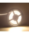 Ruban LED à éclairage latéral 5m 11W/m - 24V DC, IP20, 120 LED par mètre