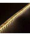 LEDlife bande LED latérale 11W/m - 5m, IP65, 24V, 120 LED par mètre