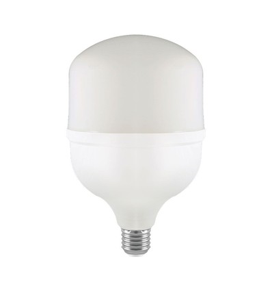 Ampoule LED E27 50W - T140, avec adaptateur de douille E40