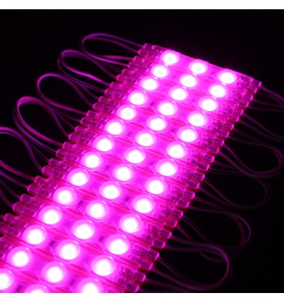 Module LED rose étanche 1,1W par pièce - 12V DC, IP66, parfait pour les enseignes et solutions spéciales