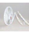 Ruban LED 10m 12W/m RA97 - 24V DC, IP20, 120 LED par mètre