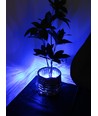 Module LED bleu étanche - 1,1W par pièce, IP66, 12V, Parfait pour enseignes et solutions spéciales