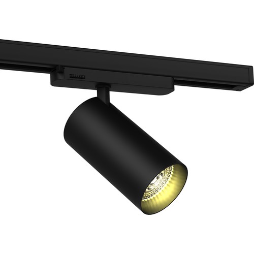 Spot sur rail triphasé 20W RA90 - 100 lm/W, 36 degrés, Noir, Philips LED
