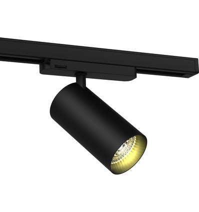 Spot sur rail triphasé 20W RA90 - 100 lm/W, 36 degrés, Noir, Philips LED