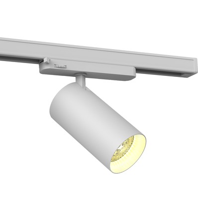 Spot sur rail LED Philips 30W triphasé RA90 - 100 lm/W, 36 degrés, Blanc