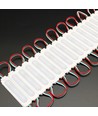 20 pcs modules LED RGBIC étanches 2W - 12V DC, IP65, parfait pour enseignes et solutions spéciales