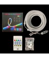 Kit complet Neon Flex RGBIC 5m 7x14 neonflex - USB, application Bluetooth, télécommande