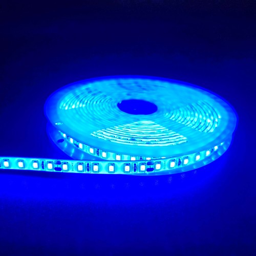 Ruban LED bleu 5m 10W/m - 24V DC, IP65, 120 LED par mètre