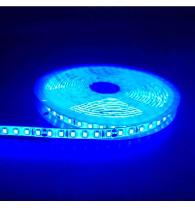 Ruban LED bleu 5m 10W/m - 24V DC, IP65, 120 LED par mètre