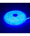 Ruban LED bleu 5m 10W/m - 24V DC, IP65, 120 LED par mètre