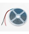 Ruban LED bleu 5m 10W/m - 24V DC, IP65, 120 LED par mètre