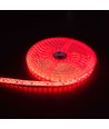 Ruban LED rouge 5m 10W/m - 24V DC, IP65, 120 LED par mètre