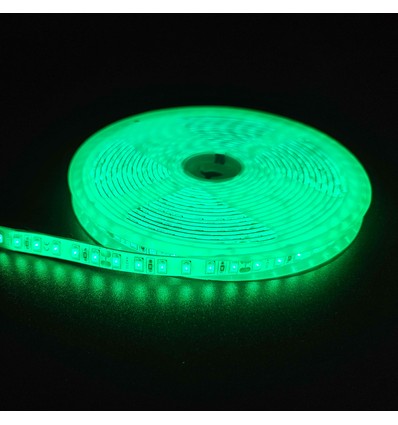 Ruban LED vert 5m 10W/m - 24V DC, IP65, 120 LED par mètre