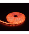 Ruban LED Orange 5m 10W/m - 24V DC, IP65, 120 LED par mètre