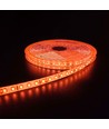 Ruban LED Orange 5m 10W/m - 24V DC, IP65, 120 LED par mètre