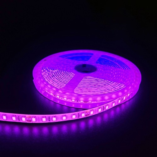 Ruban LED Rose 5m 10W/m - 24V DC, IP65, 120 LED par mètre