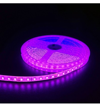 Ruban LED Rose 5m 10W/m - 24V DC, IP65, 120 LED par mètre