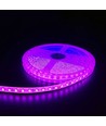 Ruban LED Rose 5m 10W/m - 24V DC, IP65, 120 LED par mètre
