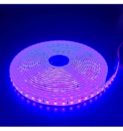 Ruban LED Violet 5m 10W/m - 24V DC, IP65, 120 LED par mètre