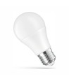 Ampoule LED 24V, E27, 10W - AC/DC, Spectrum
