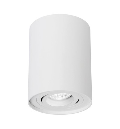Spot plafonnier GU10 - En saillie, rond, blanc, orientable, IP20, sans source lumineuse