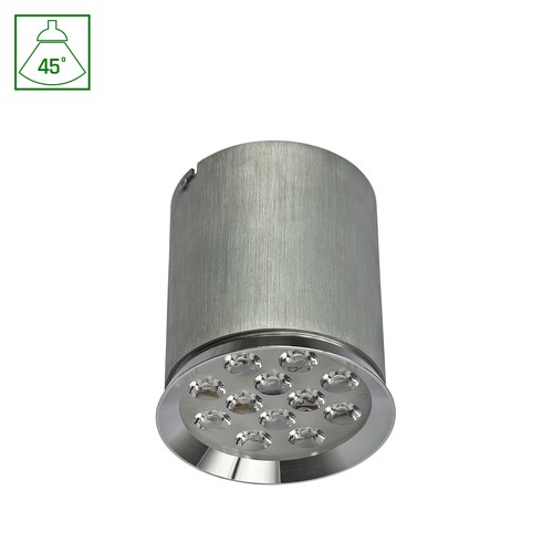 CHLOE 12LED 230V 12W IP20 45DEG CW PLAFONNIER