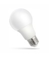 Ampoule LED E27 7W - A60