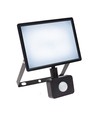 Projecteur LED 30W avec détecteur - 6000K (Blanc froid), noir