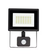 Projecteur LED 30W avec détecteur - 6000K (Blanc froid), noir