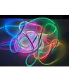 Ruban Neon Flex RGBIC 10m 16W/m - 24V DC, IP20, 96 LED par mètre, 8x16