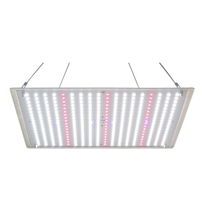 LEDlife Helios lampe de croissance 70W, IP65 - Incl. suspension, spectre complet, sans ventilateur, intensité lumineuse réglable