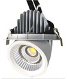 Downlight 30W pour Viande - Angle réglable, éclairage spécial pour la viande