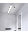 Réglette LED High-Lumen 36W Avec Capteur en 4000K, IP40, 230V - 120cm