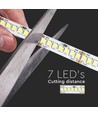Ruban LED 5m 17W/m - 24V DC, IP20, 150lm/W, 238 LED par mètre
