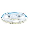 Ruban LED 5m 17W/m - 24V DC, IP20, 150lm/W, 238 LED par mètre