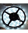 Ruban LED 5m 12W/m RGB+CW - 24V DC, IP65, 60 LED par mètre