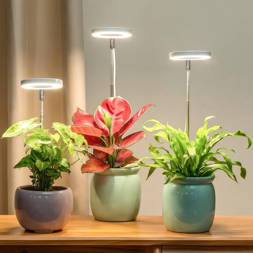 LEDlife lampe de croissance avec piquet - 12W, minuterie, dimmable, hauteur réglable