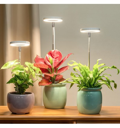 LEDlife lampe de croissance avec piquet - 12W, minuterie, dimmable, hauteur réglable